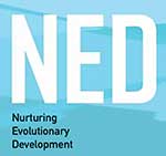 ned%20logo%20crop%20v3%20selected%20flt